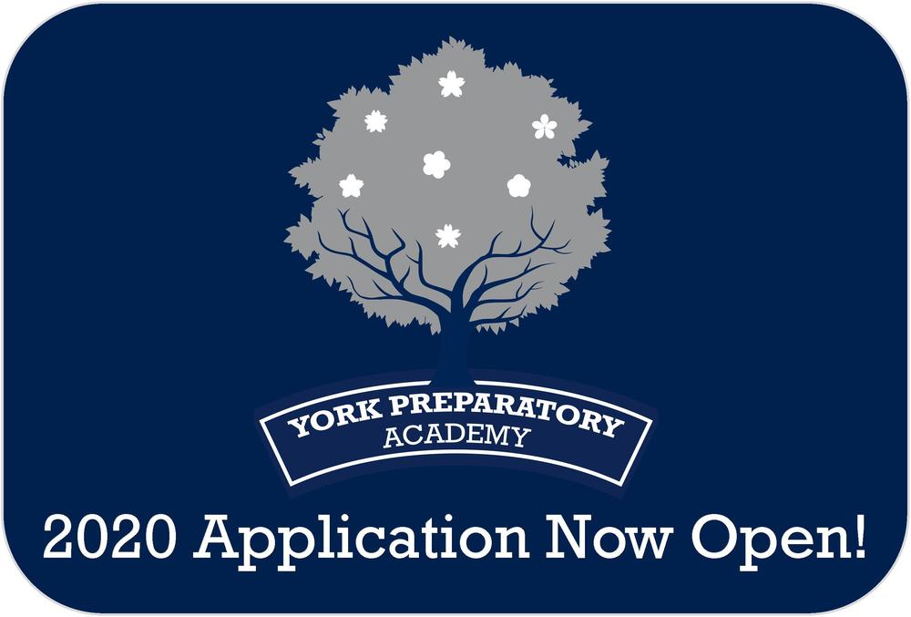application launch