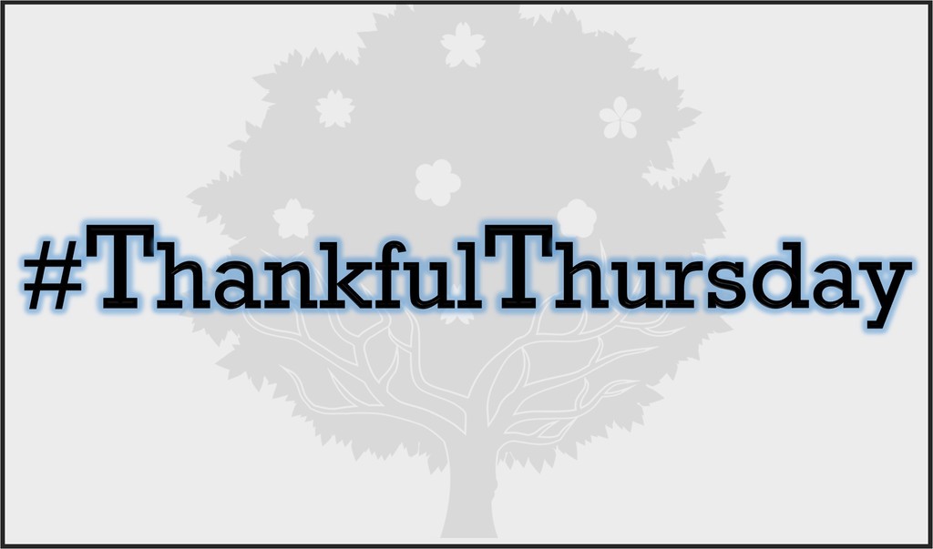 Thankful Thursday
